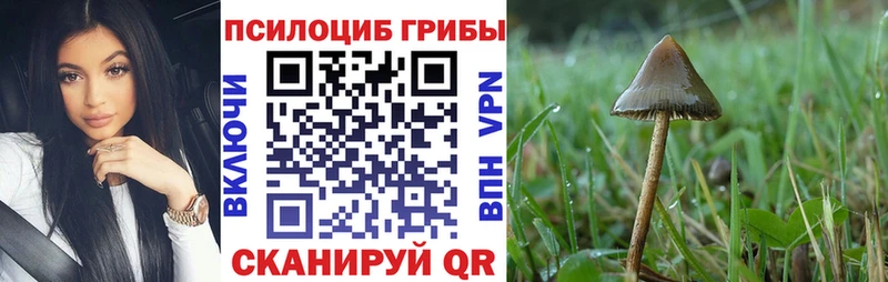 купить цена Сретенск Псилоцибиновые грибы MAGIC MUSHROOMS